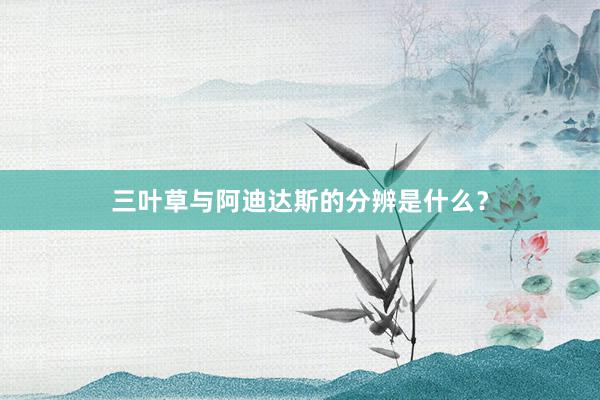 三叶草与阿迪达斯的分辨是什么？