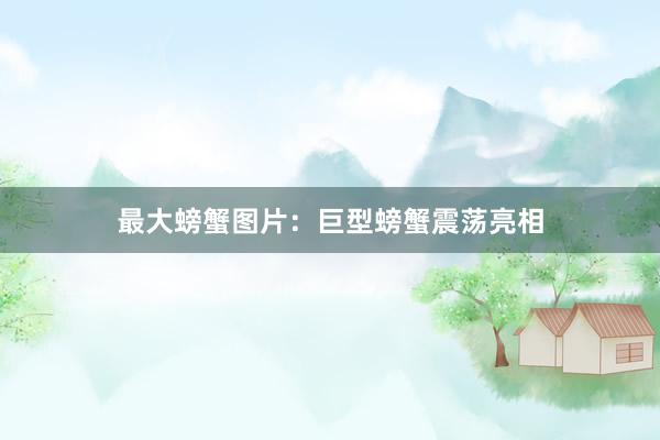 最大螃蟹图片：巨型螃蟹震荡亮相
